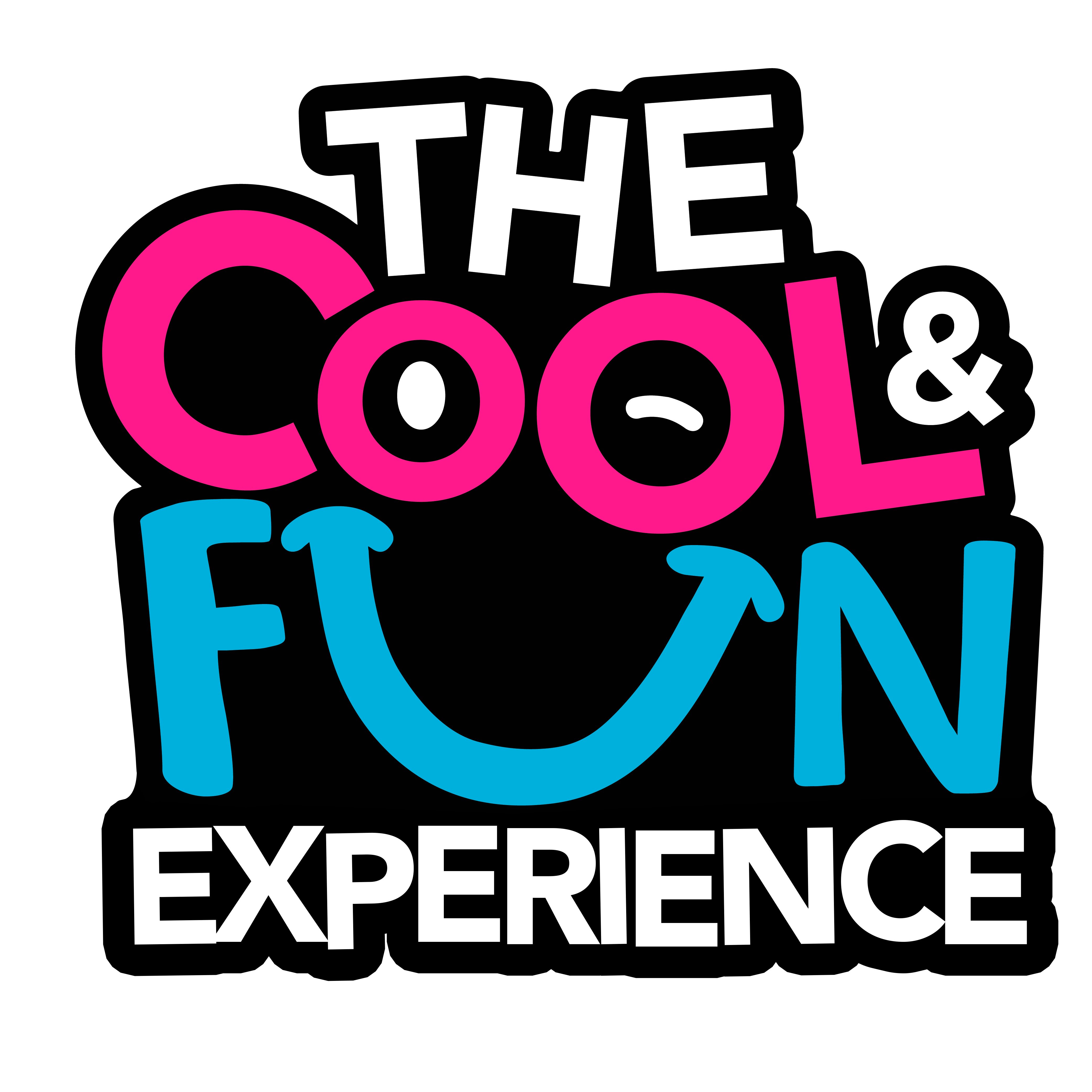 The Cool & Fun Experience (1)